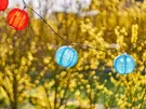 LAMPA REJESTRACJI LED WAŚ W72 CZERWONA