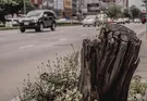 ŻARÓWKA SAM  24V 5W-CAŁOSZKLANA NARVA