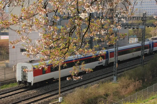 BEZPIECZNIK PŁYTKOWY MAXI  80A