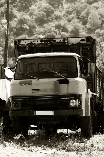 PAS TRANSPORTOWY KPL.5T- 6M