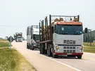 NAKŁADKA BŁOTNIKA DAF 95XF PRAWA