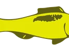 EMBLEMAT SCANIA R NAPIS 