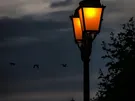 LAMPA OBRYS. LED WAŚ W37 ŻÓŁTA