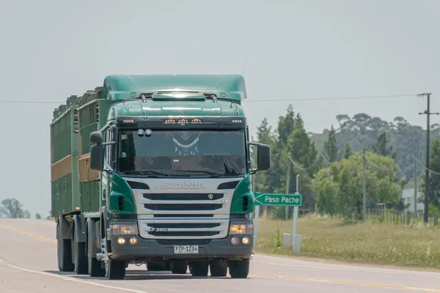 AMORTYZATOR ATRAPY MB ACTROS 3