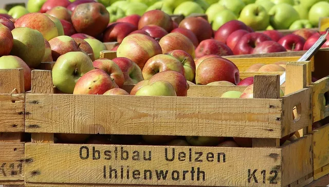 SKRZYNKA NARZĘDZIOWA TIR SCHMITZ,KRONE
