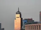 ODBLASK WAŚ UP96X42 BIAŁY PROST.TAŚMA