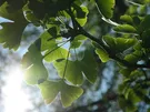 OSŁONKA SZPILKI KOLA PLAST.S-33 CZARNA WYSOKA