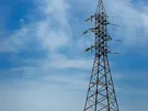 GNIAZDO SW-5
