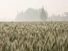 NAKŁADKA ZDERZ.MB ACTROS MPI KAB.M PRZEDNIA